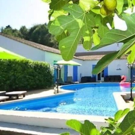 La Villa Du Menhir Chambre D'Hotes Bize-Minervois Eksteriør bilde